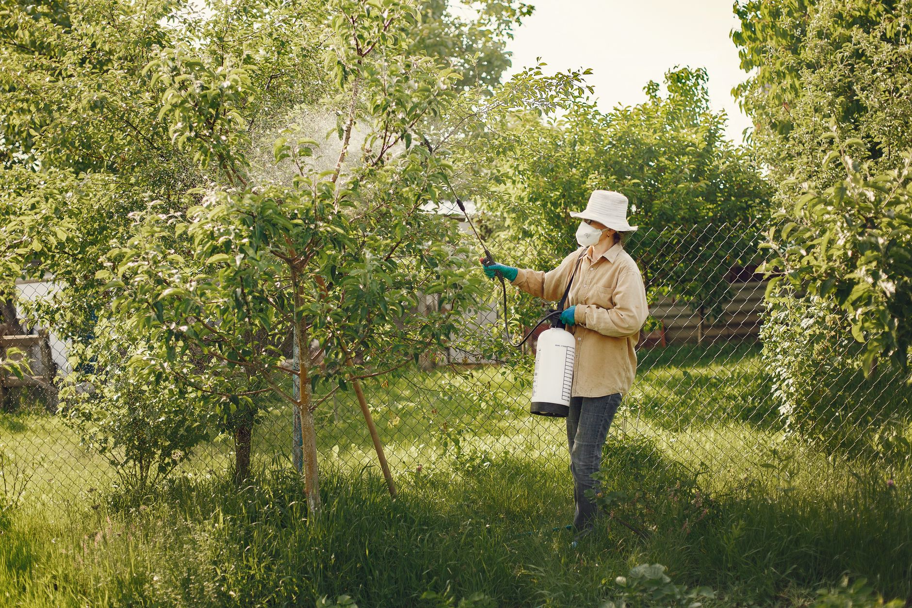 SureShield Pest Solutions: pest control services in Cavite